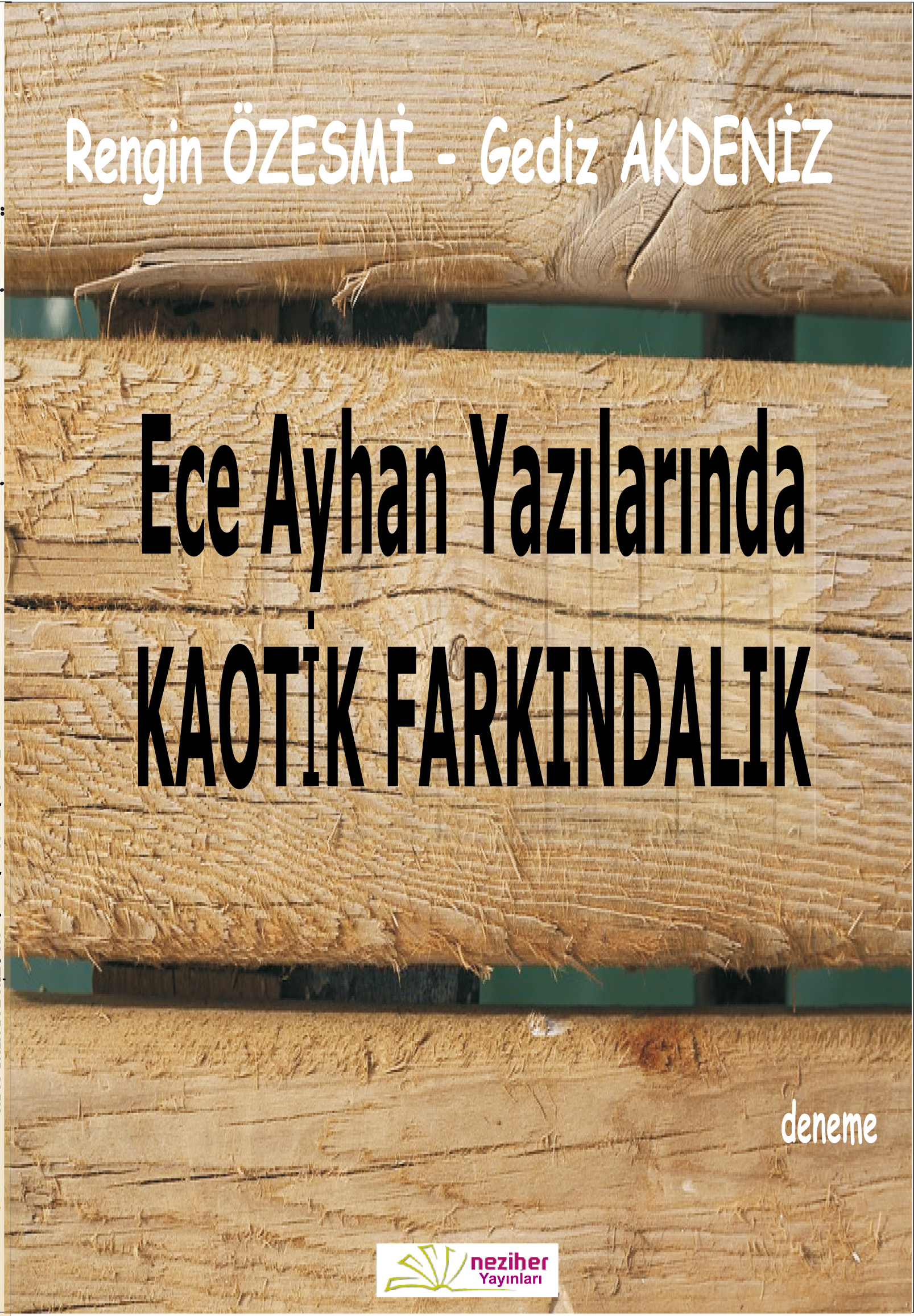 Ece Ayhan Yazılarında Kaotik Farkındalık